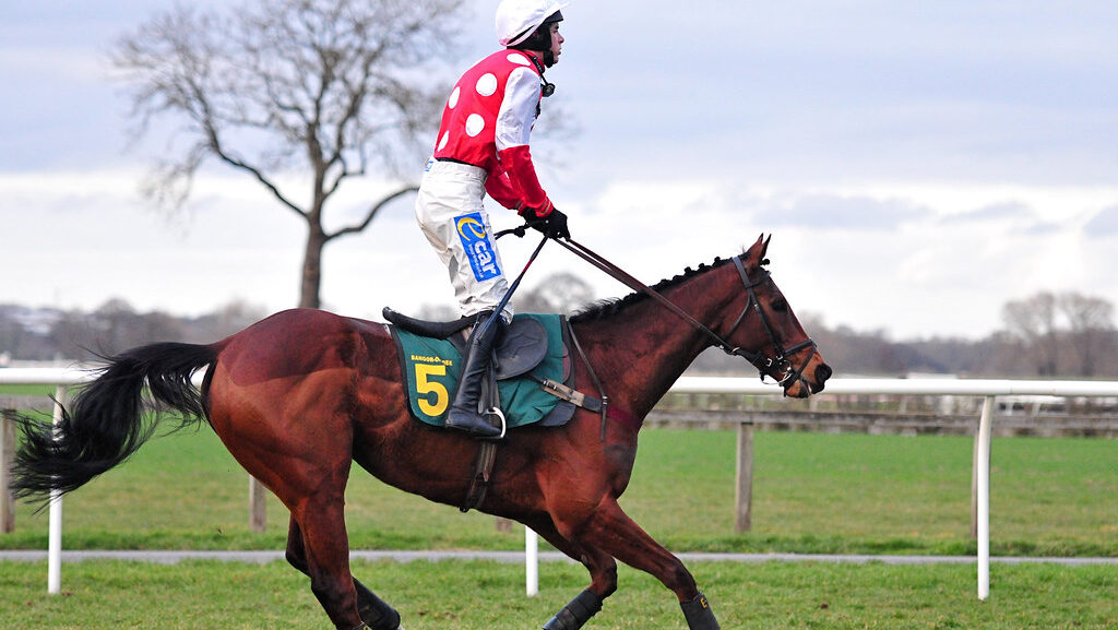 A man stand on the back of horse during riding
