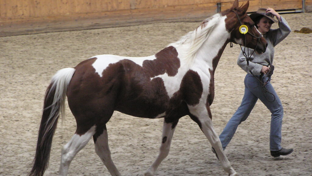 a woman is standing close to the brown and white horse