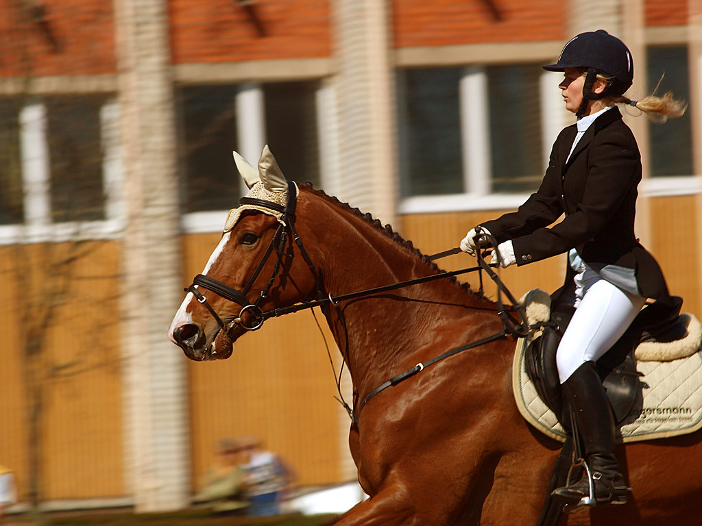 Equestrian riding a horse