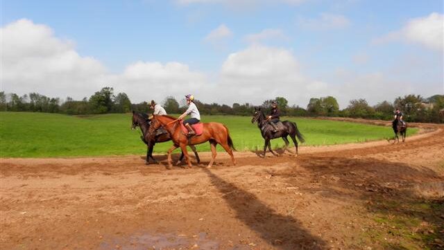 Four people riding horses on a dirt path through a field.