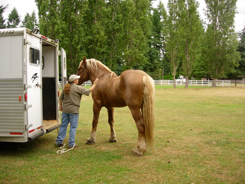 Owner leading her horse to rehab farm