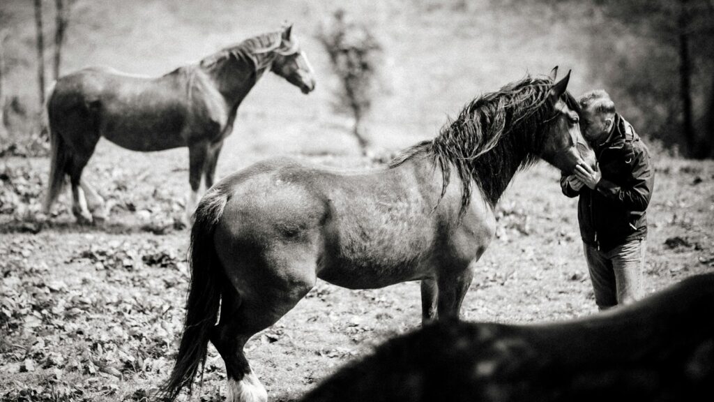 grayscale photo of man and horse