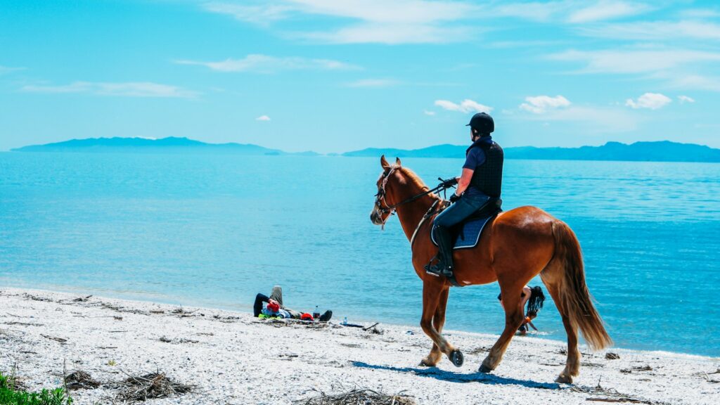 man riding on brown horse during daytime