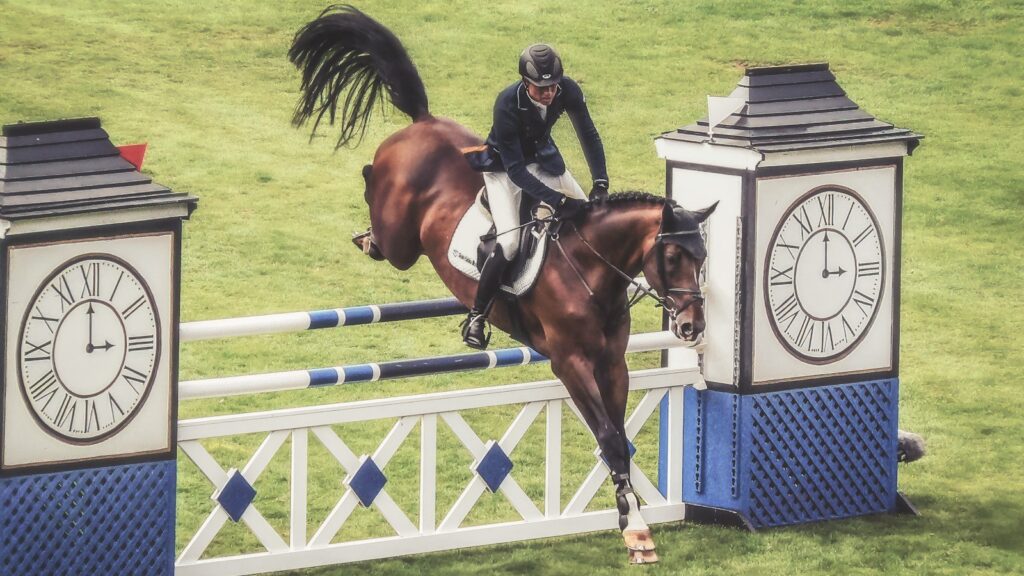 person riding horse