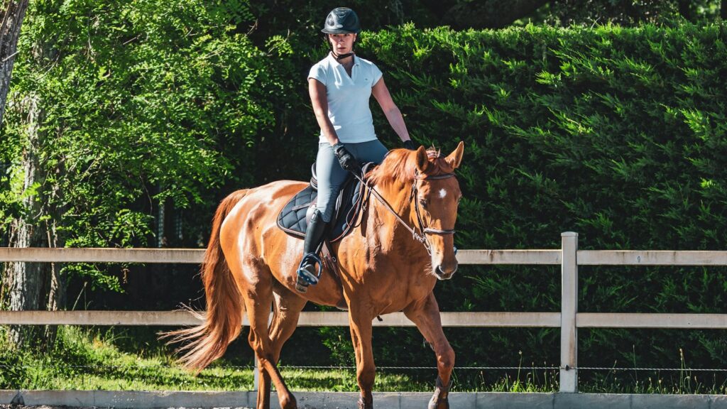 man in white t-shirt riding brown horse during daytime