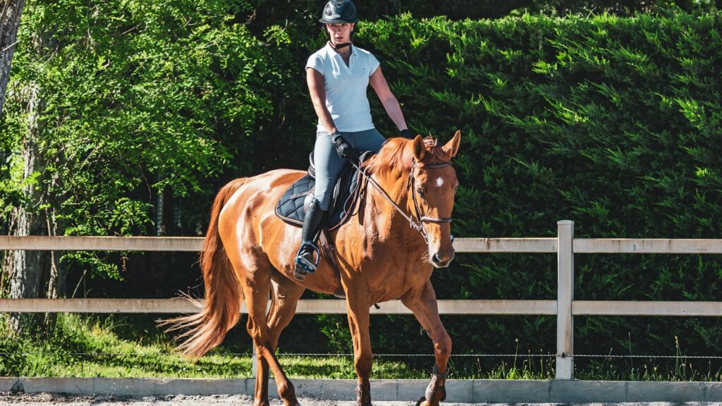 man in white t-shirt riding brown horse during daytime