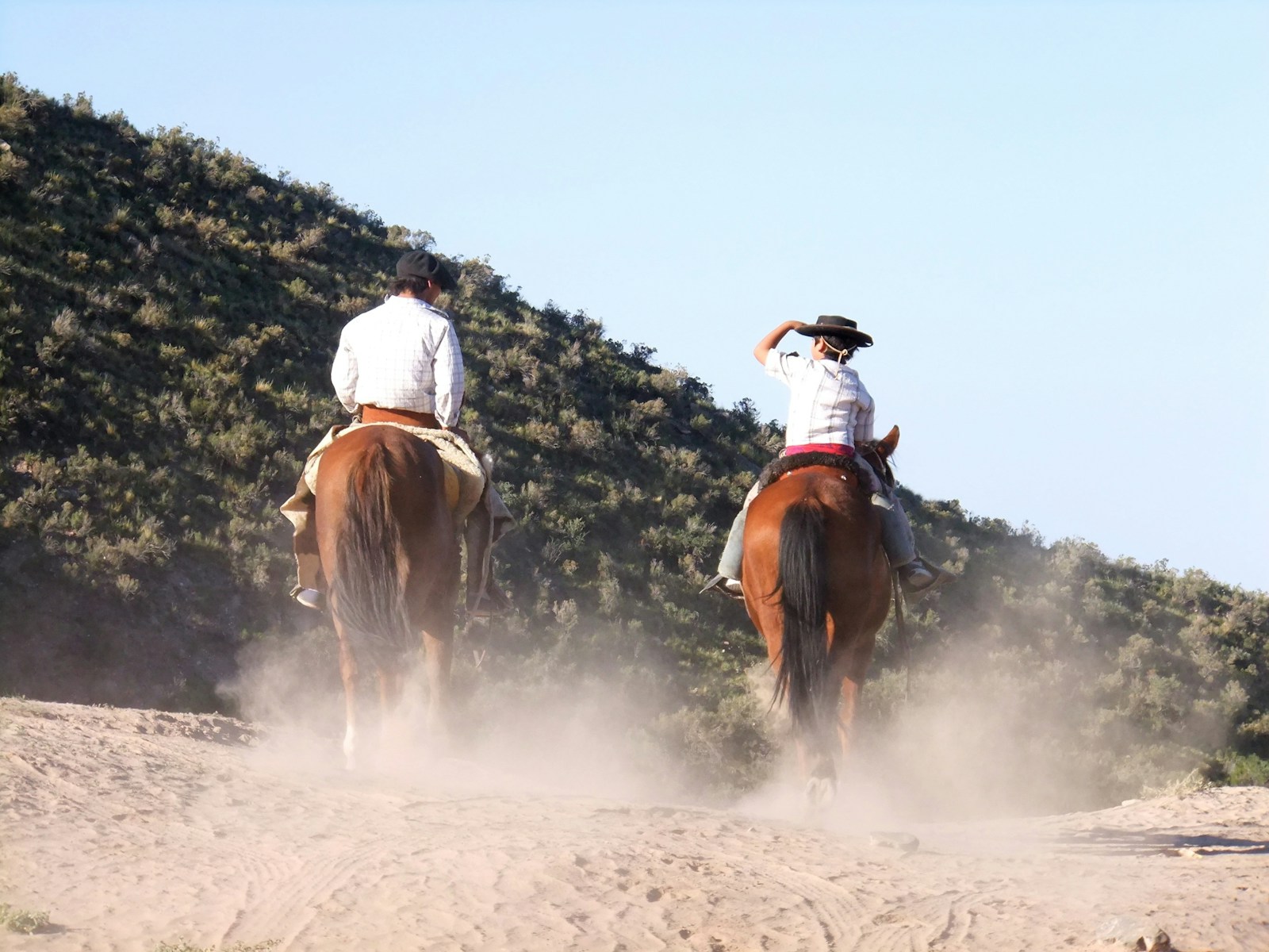 Two cowboys riding their horses together