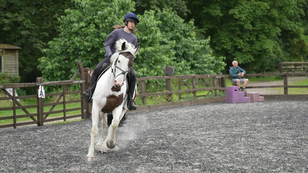 a person riding a horse in a fenced in area