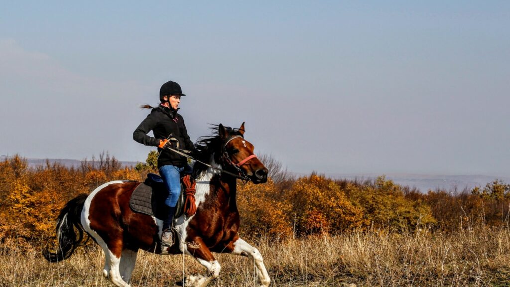 person riding on horse