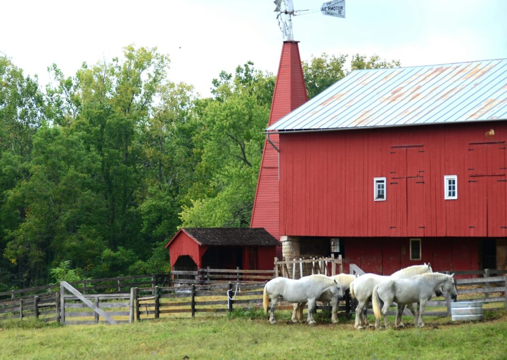 a group of horses standing in front of a red barn