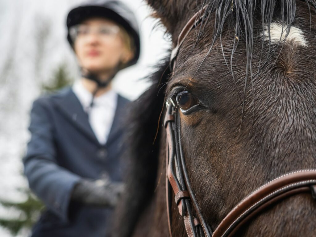 Woman riding on the back of a brown horse