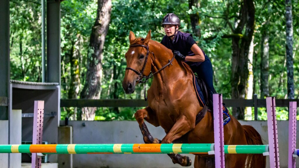man in black jacket riding brown horse during daytime