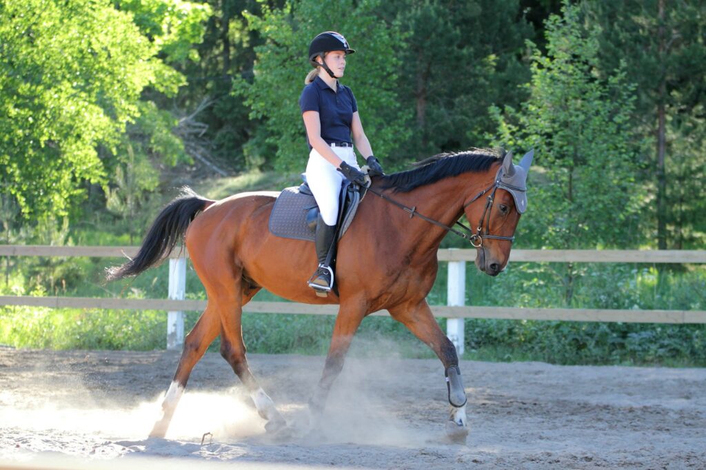 Woman in blue and white long sleeve shirt riding brown horse during daytime