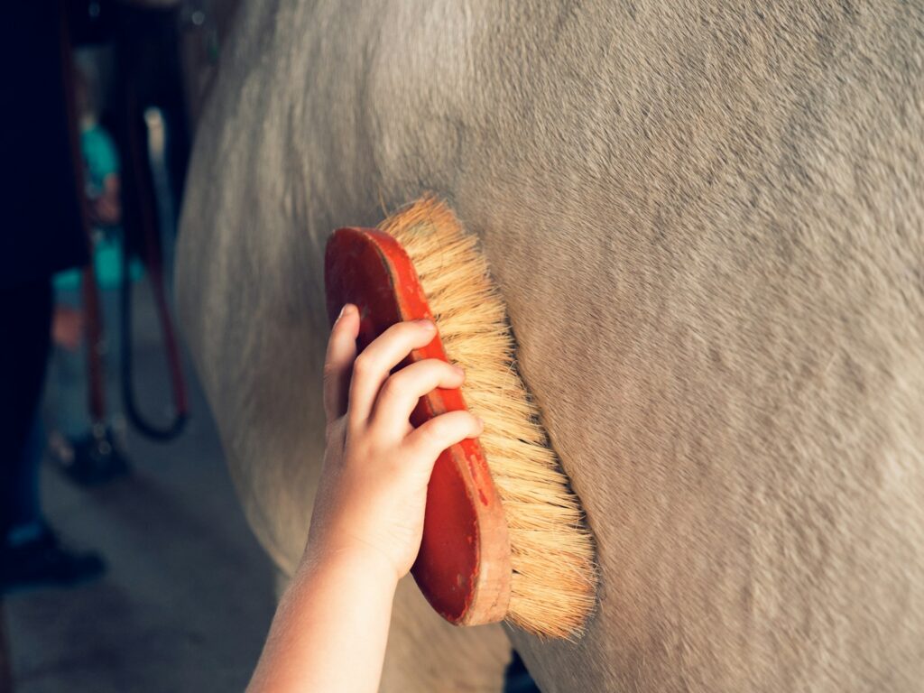 Person holding brown wooden brush