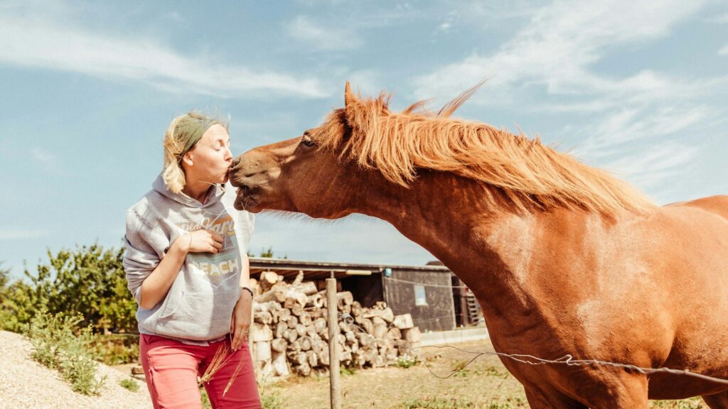 woman kissing brown horse
