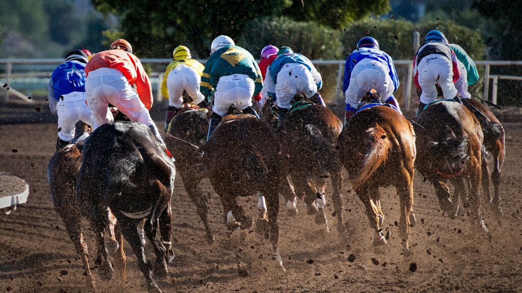 group of men riding horses near tree during daytime