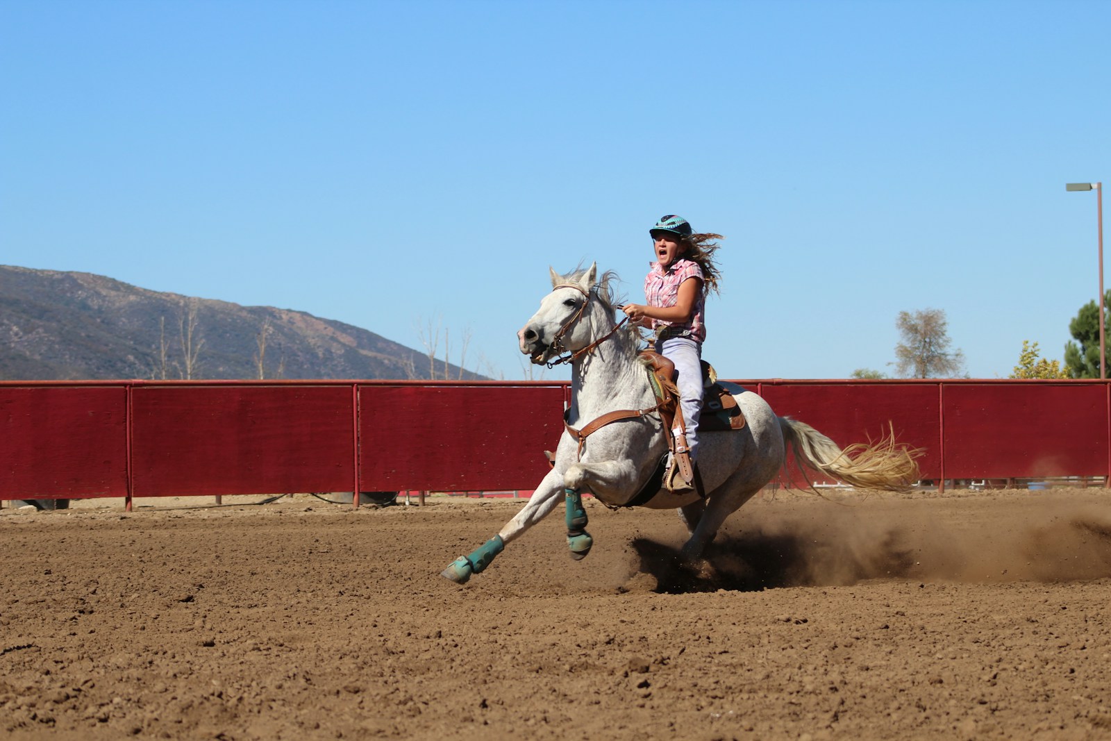 Woman riding horse during daytime