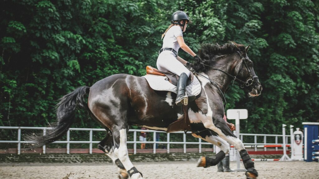 woman riding on horse near trees
