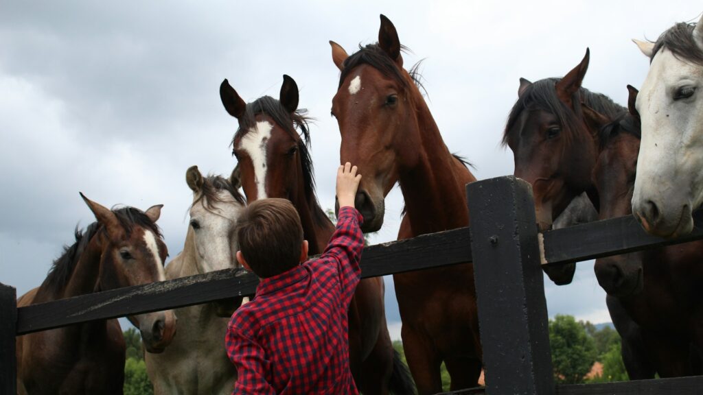 woman in red and white checkered dress shirt standing beside brown horse during daytime