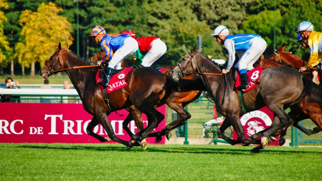 people riding horses on green grass field during daytime