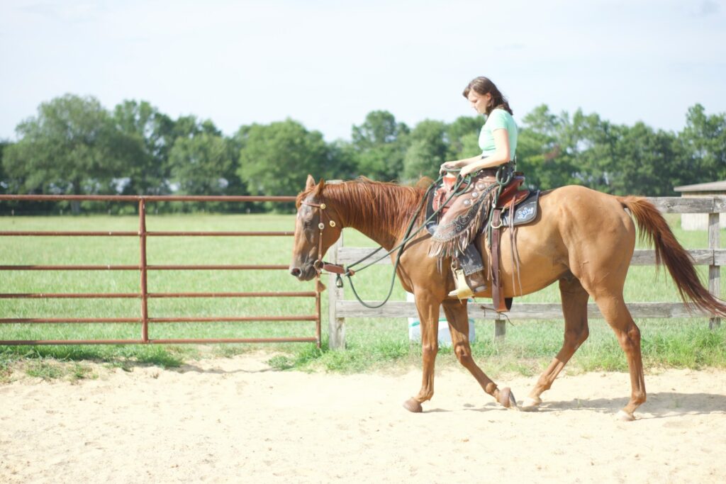 A person riding a horse