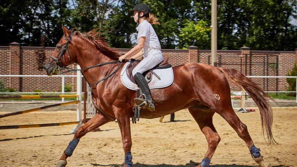 woman riding horse in the farm
