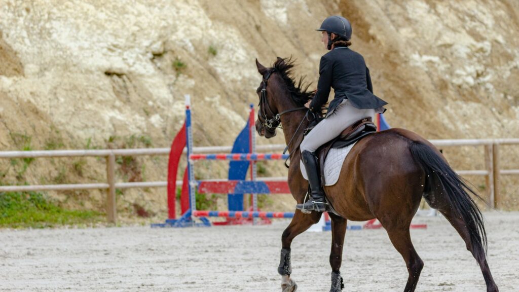 woman in black jacket riding brown horse during daytime