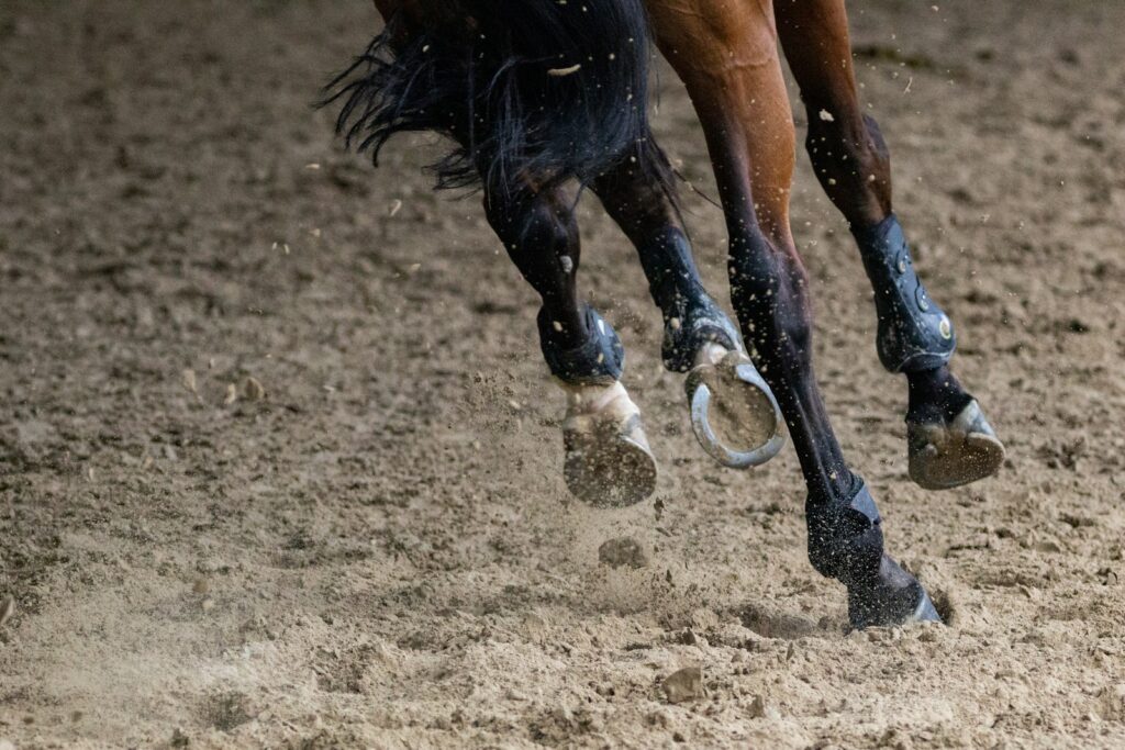 Brown horse running on brown field during daytime