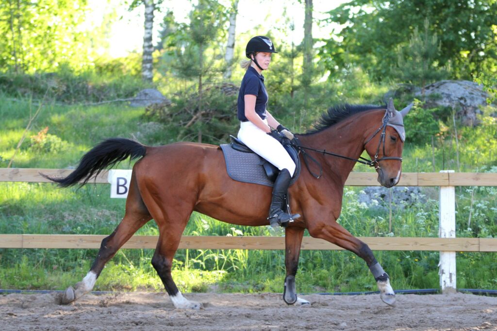 Woman in blue shirt riding brown horse