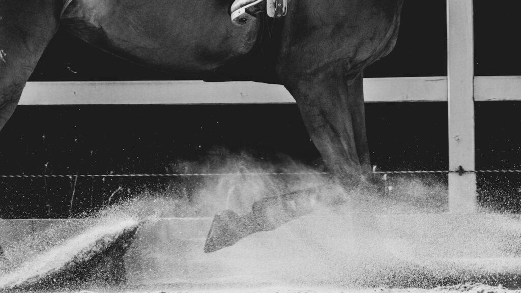 grayscale photo of horse in water