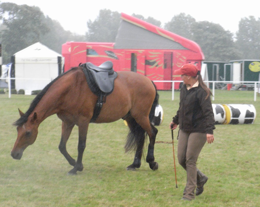 Natural Horsemanship Demo
