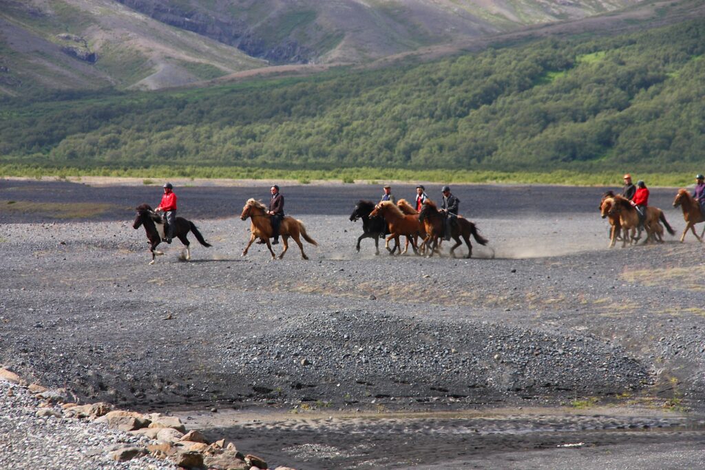 Riding Icelandic horses in Iceland