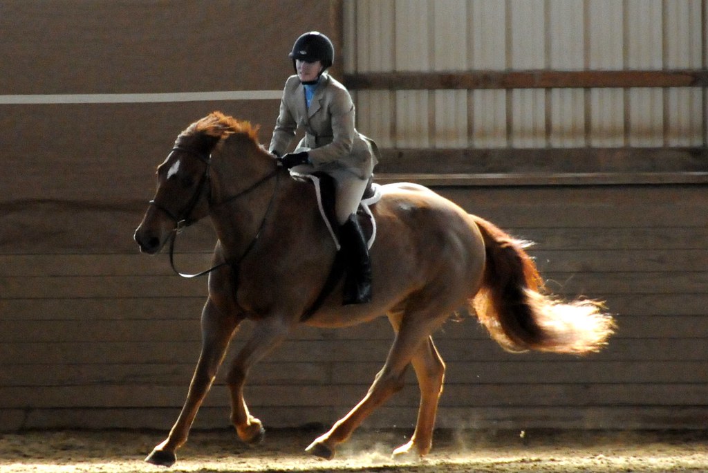 Horse Show