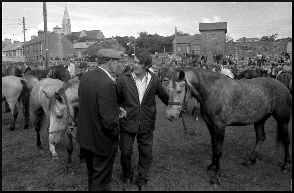 Historical Horse Trading