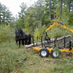 Horse logging and small-scale equipment demo, Grand Rapids MN