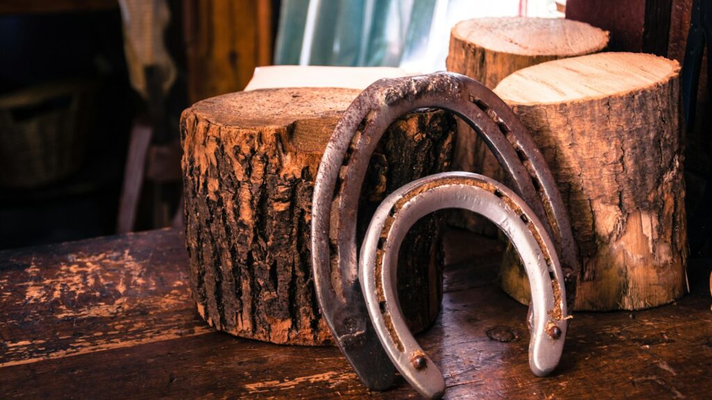 two gray horseshoes