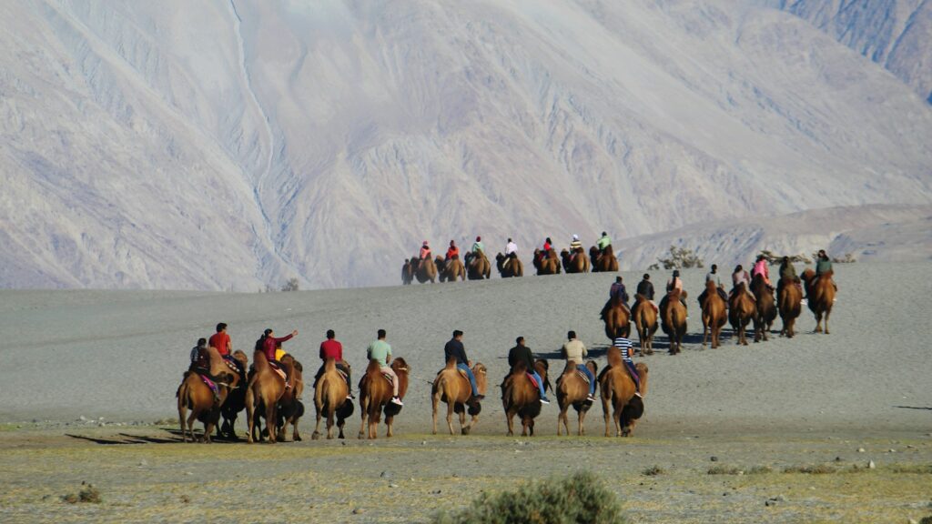 a group of people riding on the backs of horses
