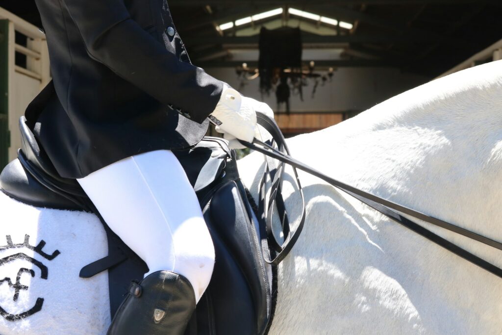 Person riding white horse