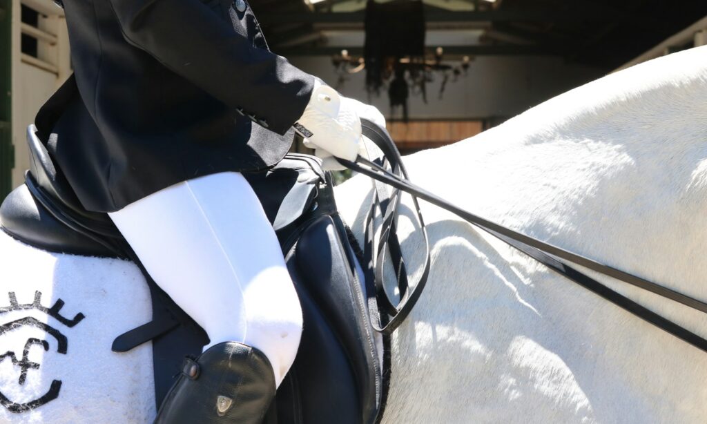 person riding white horse