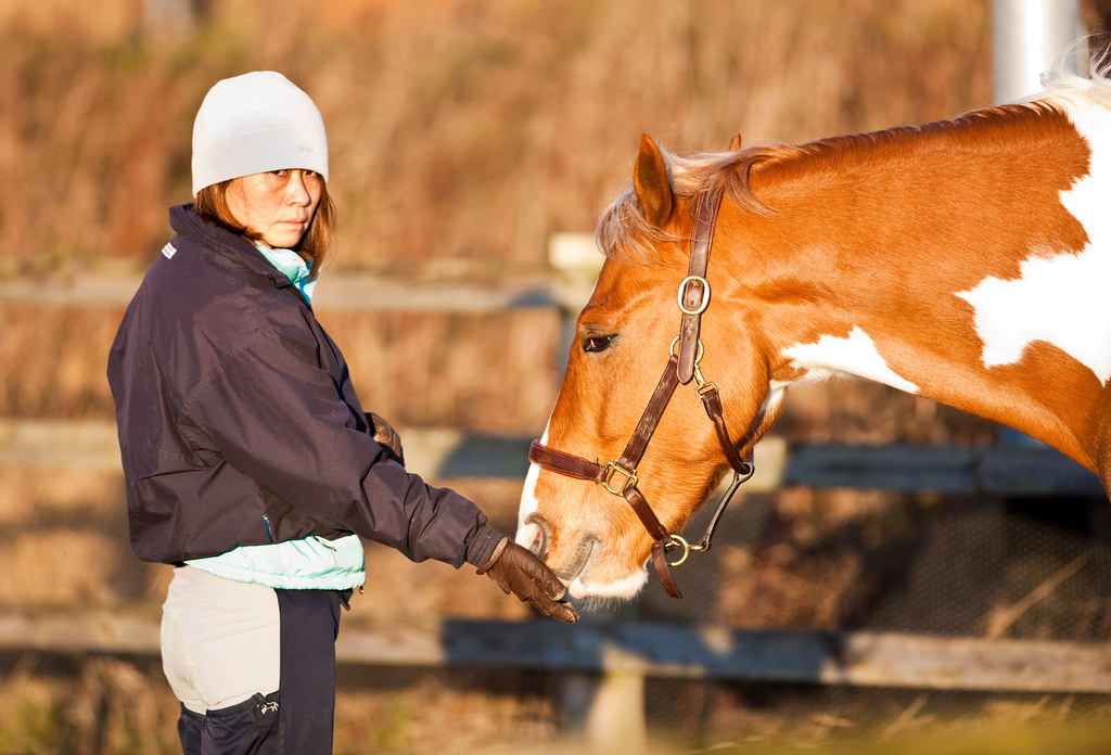 Horse gets a reward