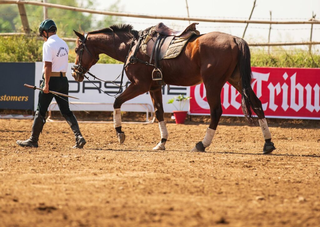 Man leading a horse in an equestrian training arena
