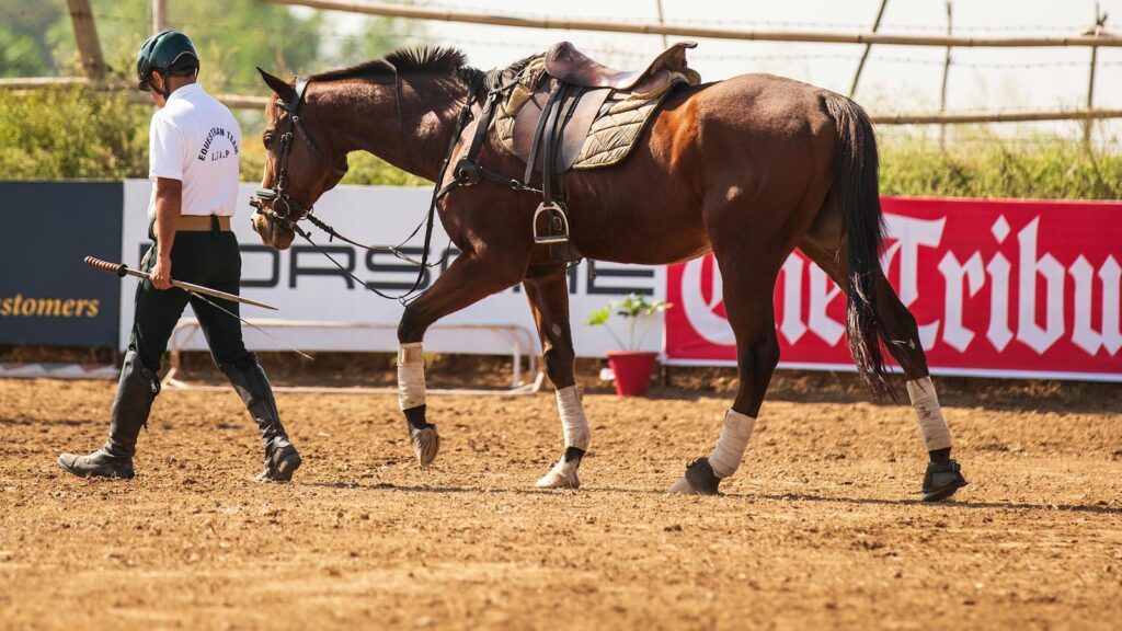 Man leading a horse in an equestrian training arena under sunny skies.