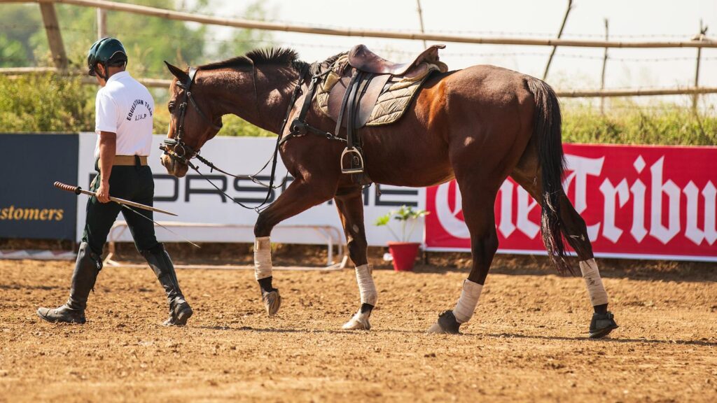 Man leading a horse in an equestrian training arena