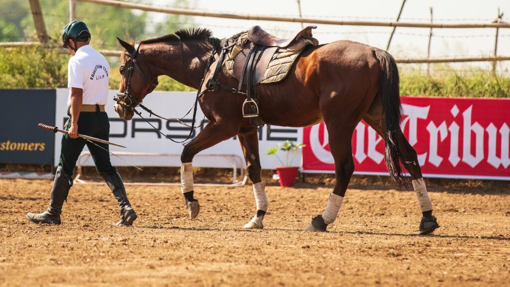 Man leading a horse in an equestrian training arena under sunny skies.