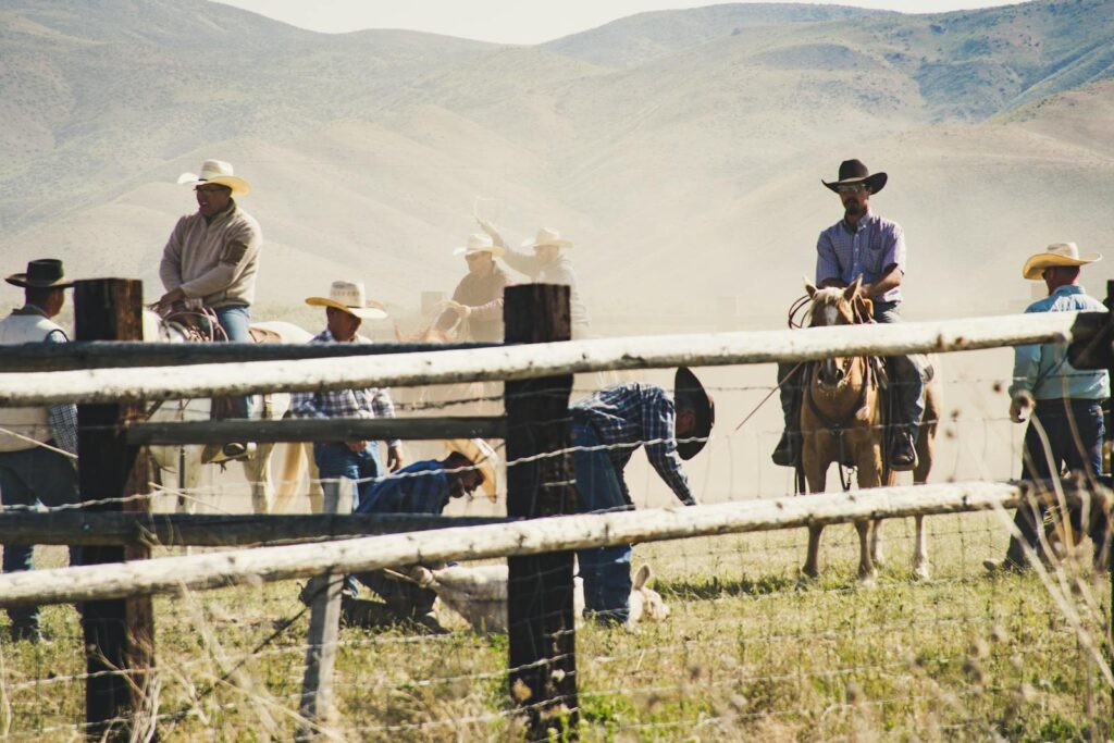 Rural landscape with cowboys on horseback wrangling cattle