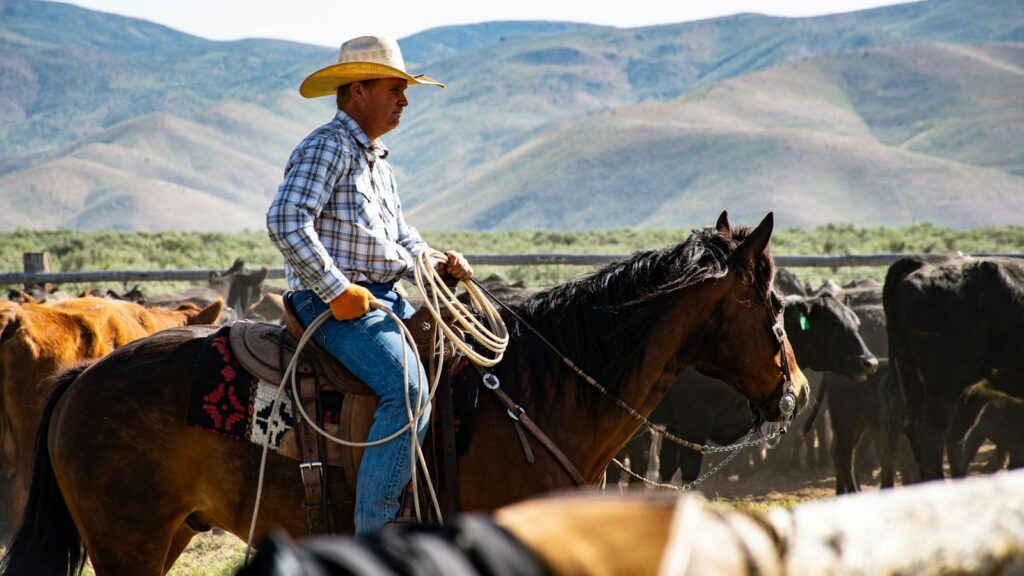 A cowboy wearing a hat rides a horse in a rural ranch setting with a herd of cattle.
