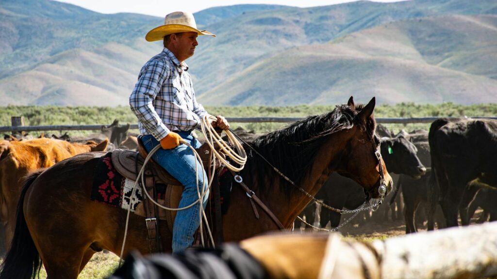A cowboy wearing a hat rides a horse in a rural ranch setting with a herd of cattle.