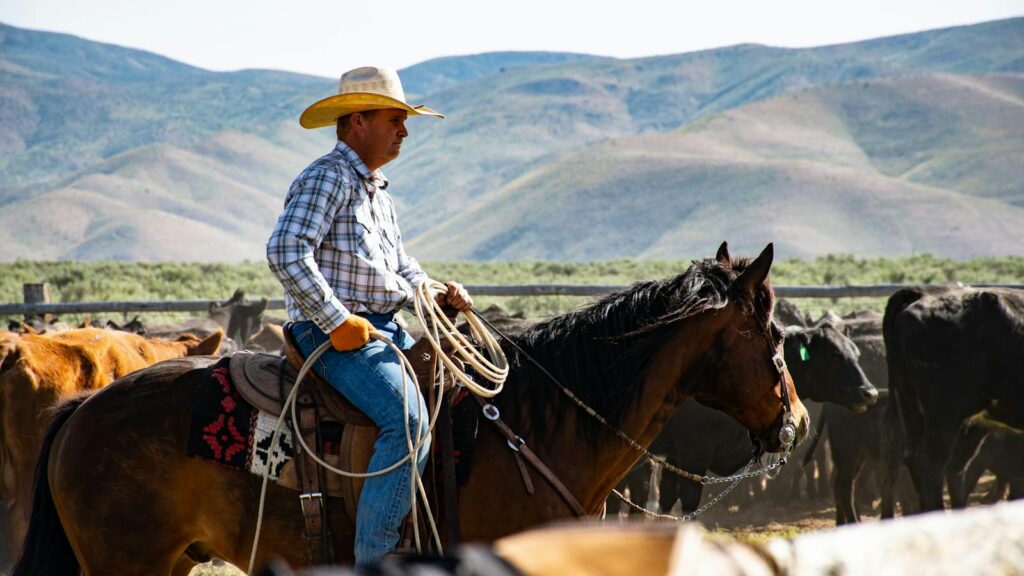 A cowboy wearing a hat rides a horse in a rural ranch setting with a herd of cattle.