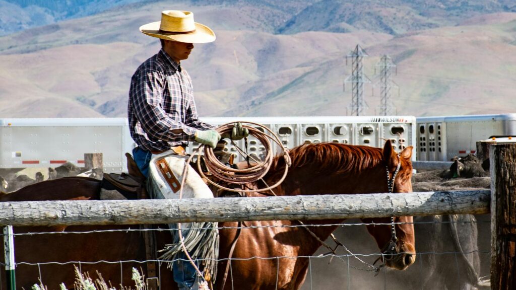 A cowboy in a hat riding a horse on a rural farm setting with mountains in the background.