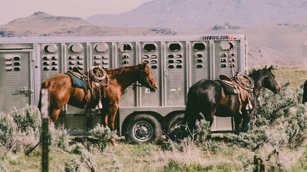 Two saddled horses beside a livestock trailer in a rural mountainous landscape.